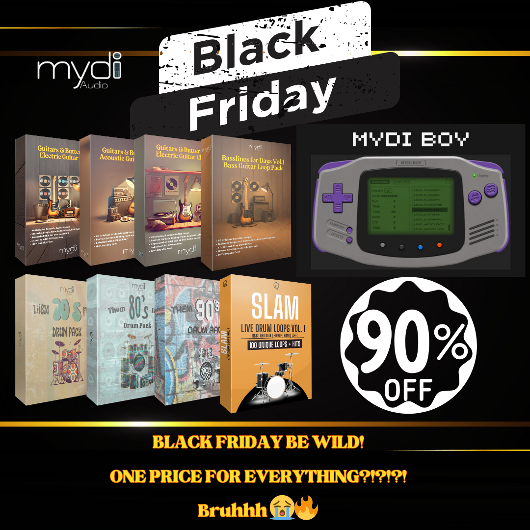 BLACK FRIDAY - EVERYTHING FOR $28